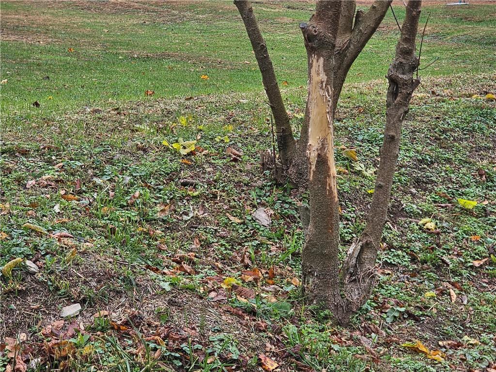 0 Knob Run Road New Freeport, PA 15352 - Photo 2 of 10 a view of a garden with plants