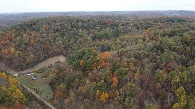 a view of a city with lush green forest