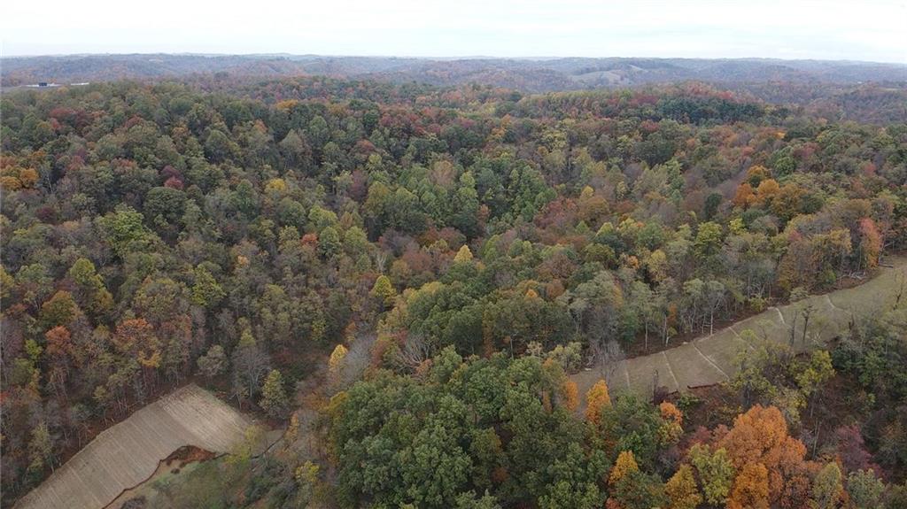0 Knob Run Road New Freeport, PA 15352 - Photo 4 of 10 a view of a city with lush green forest
