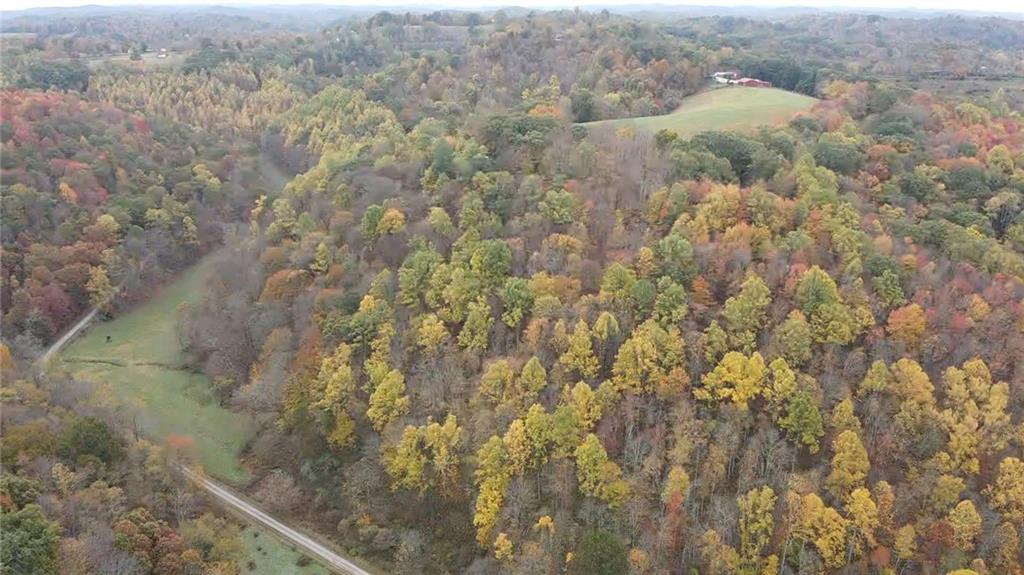 0 Knob Run Road New Freeport, PA 15352 - Photo 6 of 10 a view of a yard