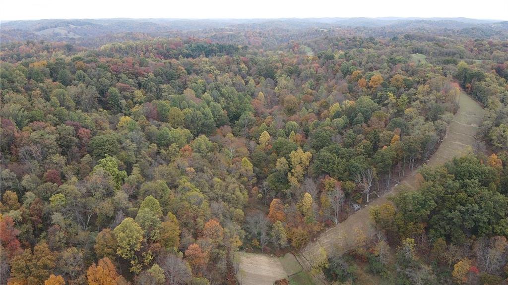 0 Knob Run Road New Freeport, PA 15352 - Photo 8 of 10 a view of a forest with trees in the background