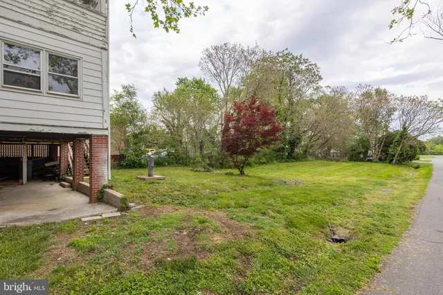 a view of a backyard