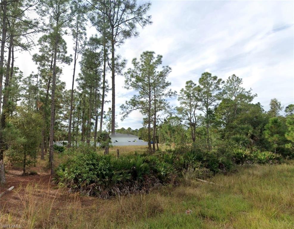 3002 East 14th Street Lehigh Acres, FL 33972 - Photo 2 of 2 a view of a lake with lots of trees