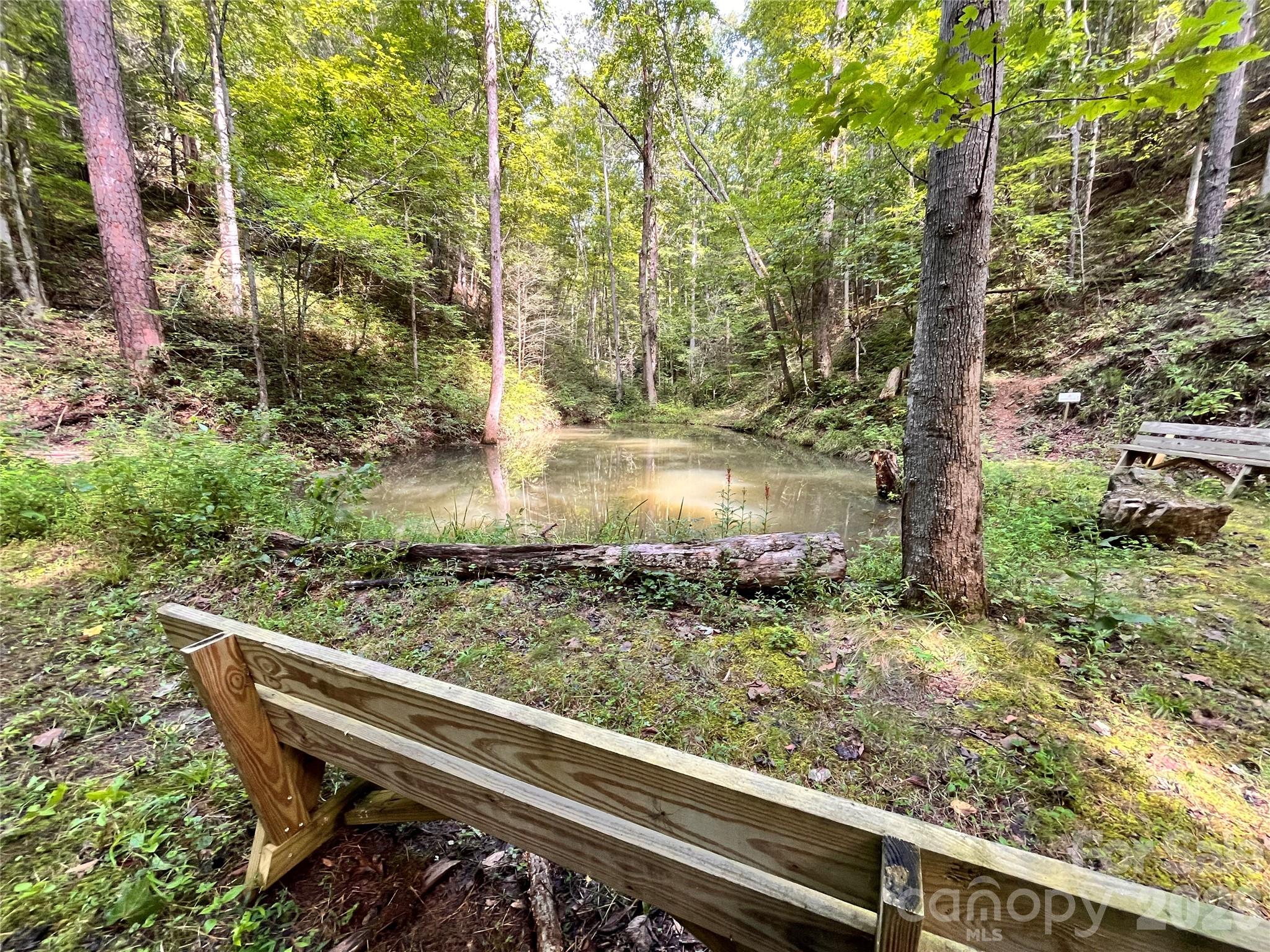 1295 Paint Rock Road Hot Springs, NC 28743 - Photo 40 of 42 Gallery Image 40