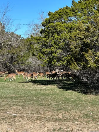 $39,500 | 0 Deerwood Circle, Bandera, TX 78003