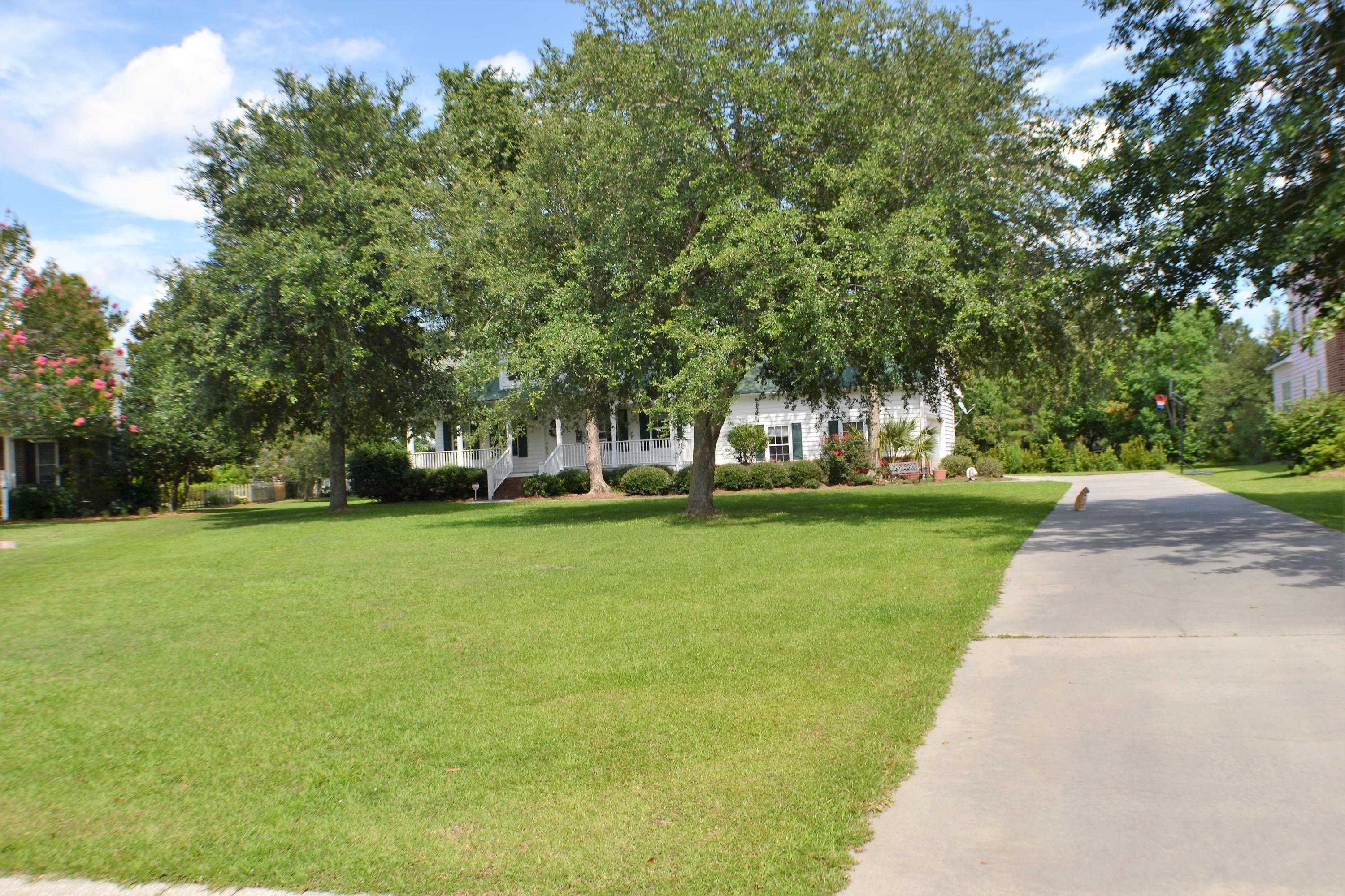 Large Front Yard