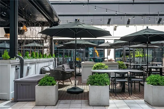 a view of the patio with chairs and potted plants