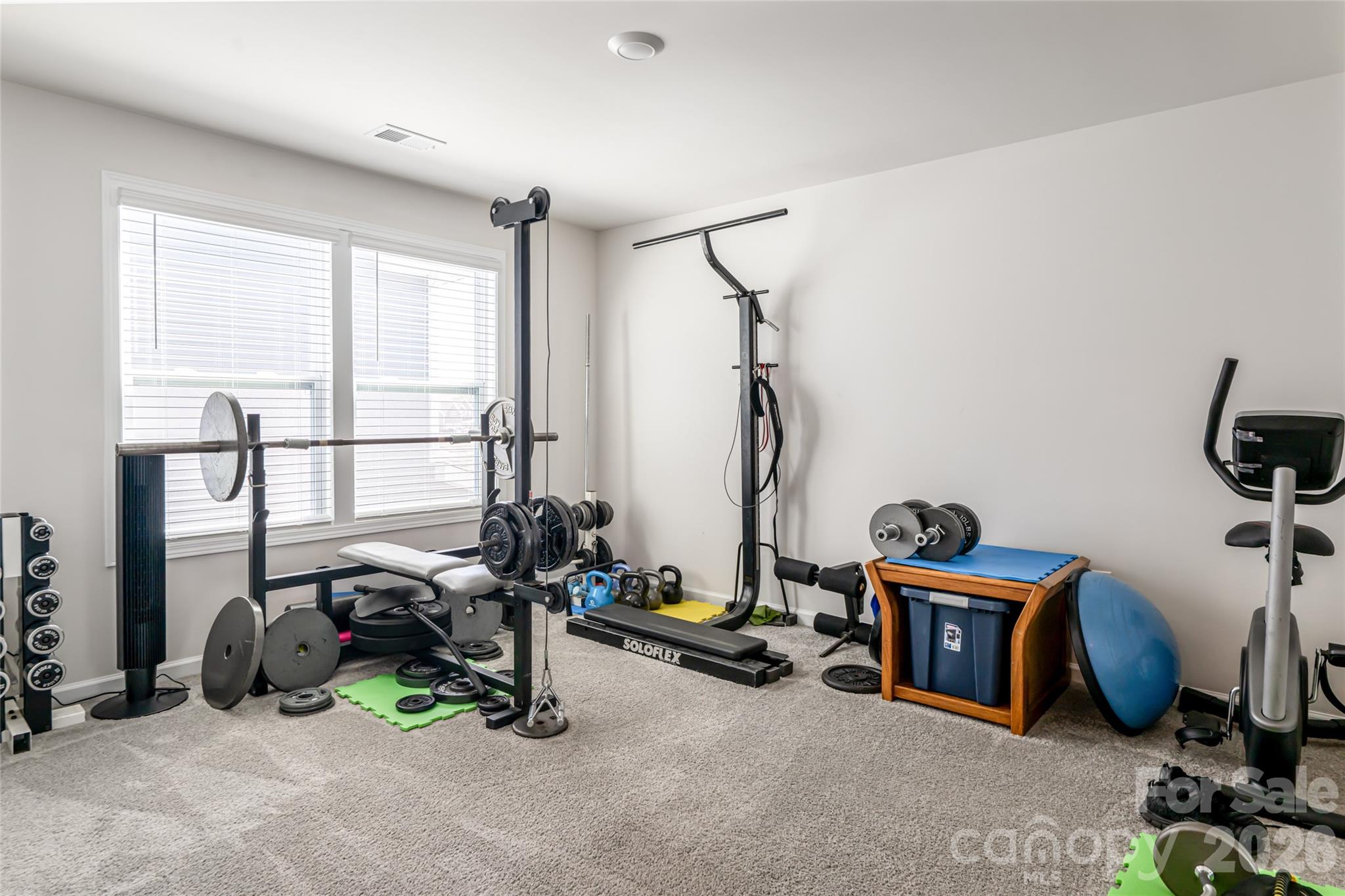 615 Fox Cove Road Hendersonville, NC 28792 - Photo 38 of 47 a view of a room with gym equipment