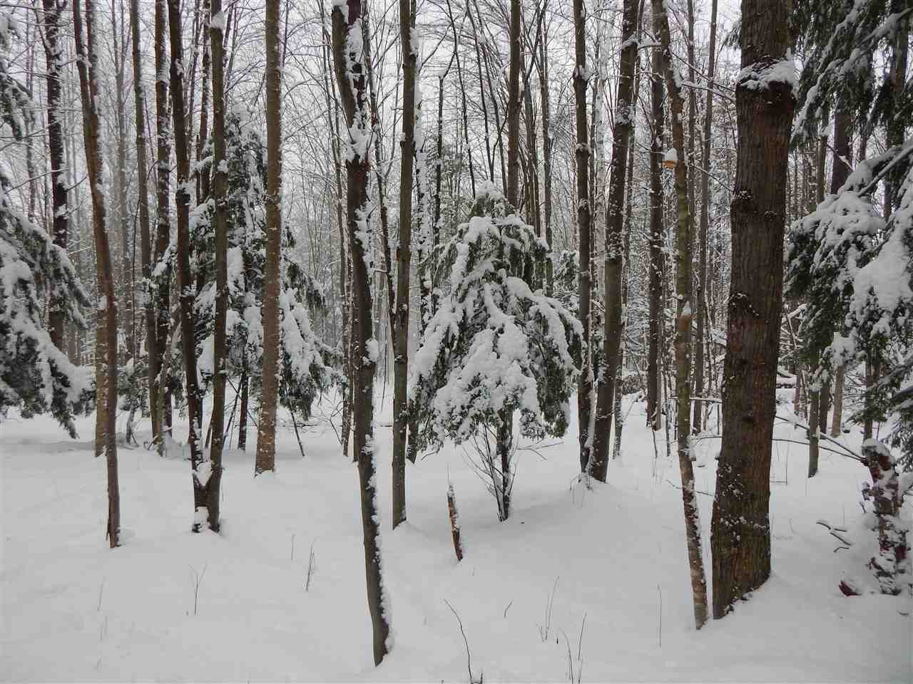 149 Raphael Road Waitsfield, VT 05673 - Photo 11 of 11