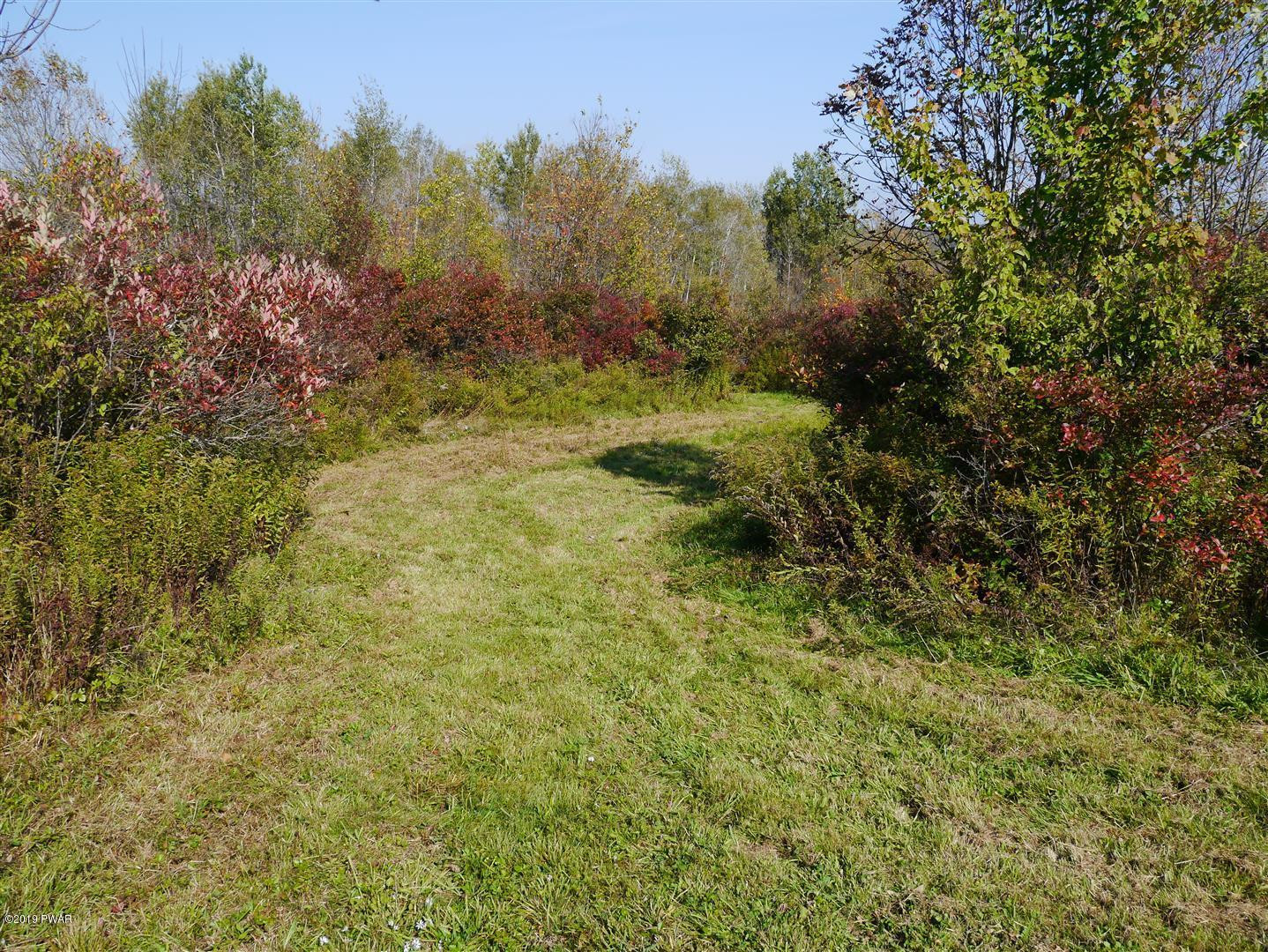 695 Pine Mill Road Equinunk, PA 18417 - Photo 61 of 68