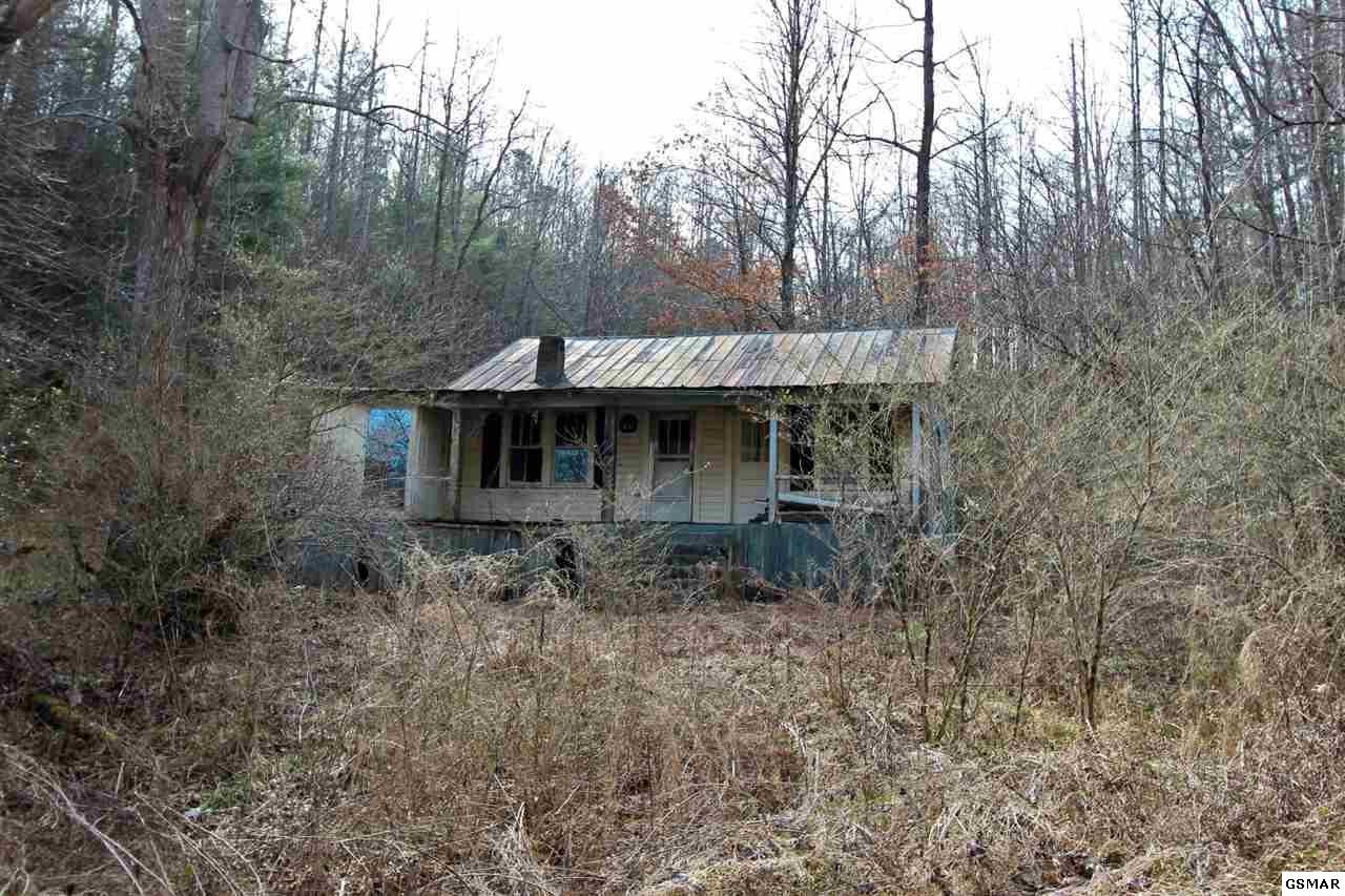 1 Reece Hollow Road Del Rio, TN 37727 - Photo 15 of 32 Gallery Image 15