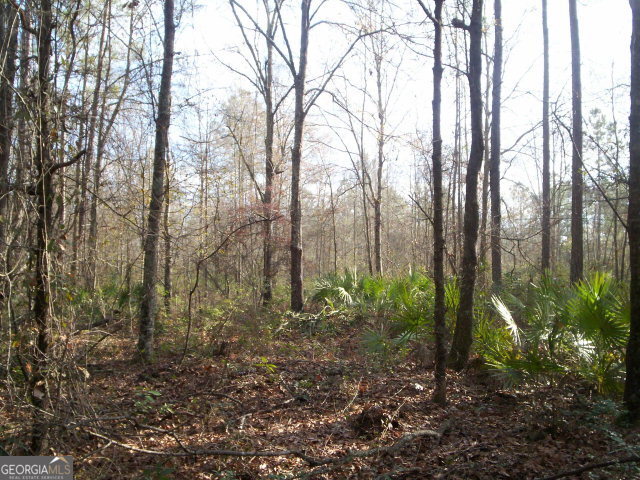 0 Doc Mctier Road Baxley, GA 31513 - Photo 1 of 1 Main View
