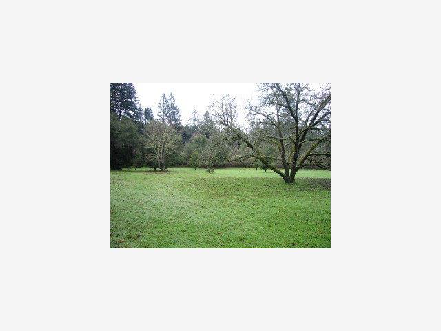 23555 Morrill Road Los Gatos, CA 95033 - Photo 6 of 9 Gallery Image 6
