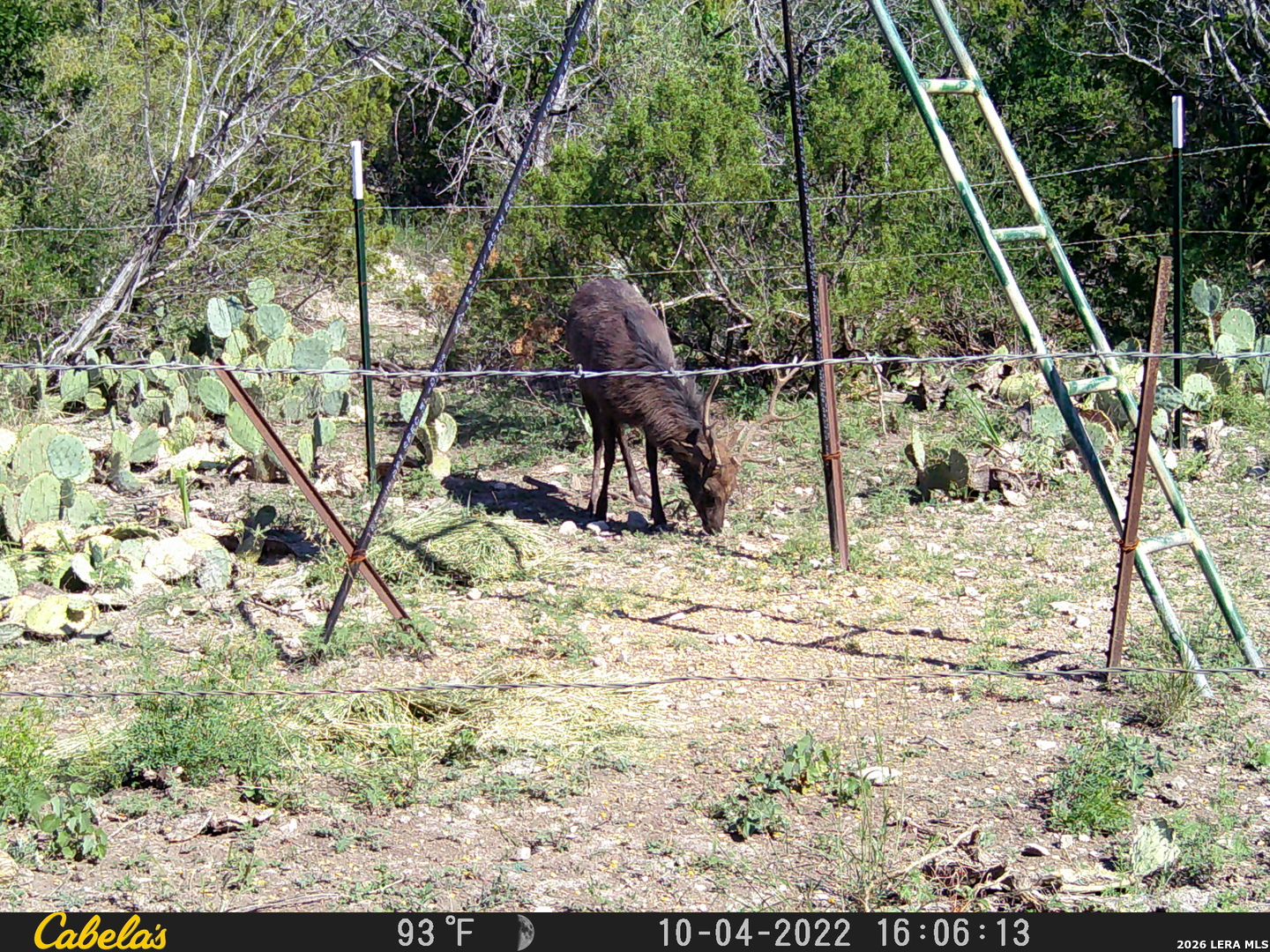 21 North High Lonesome Road Comstock, TX 78837 - Photo 17 of 20