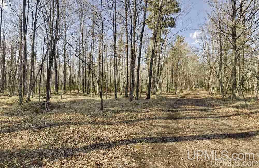 W8654 Co Road Stephenson, MI 49887 - Photo 14 of 14 Gallery Image 14