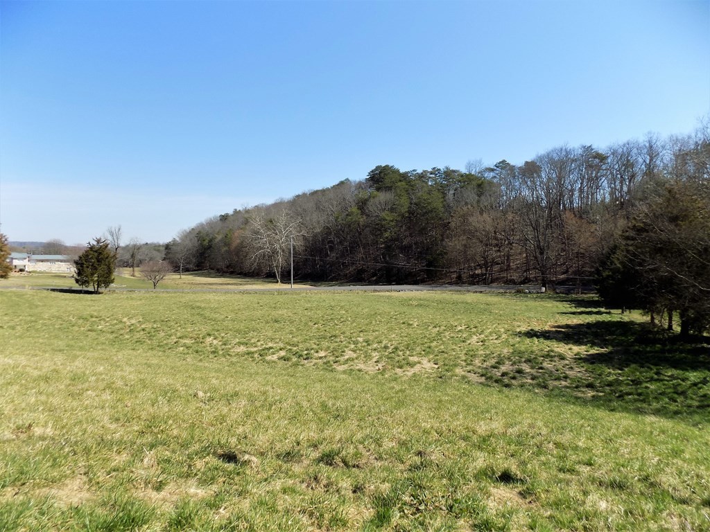 245 New Cave Church Road Newport, TN 37821 - Photo 28 of 40 Gallery Image 28