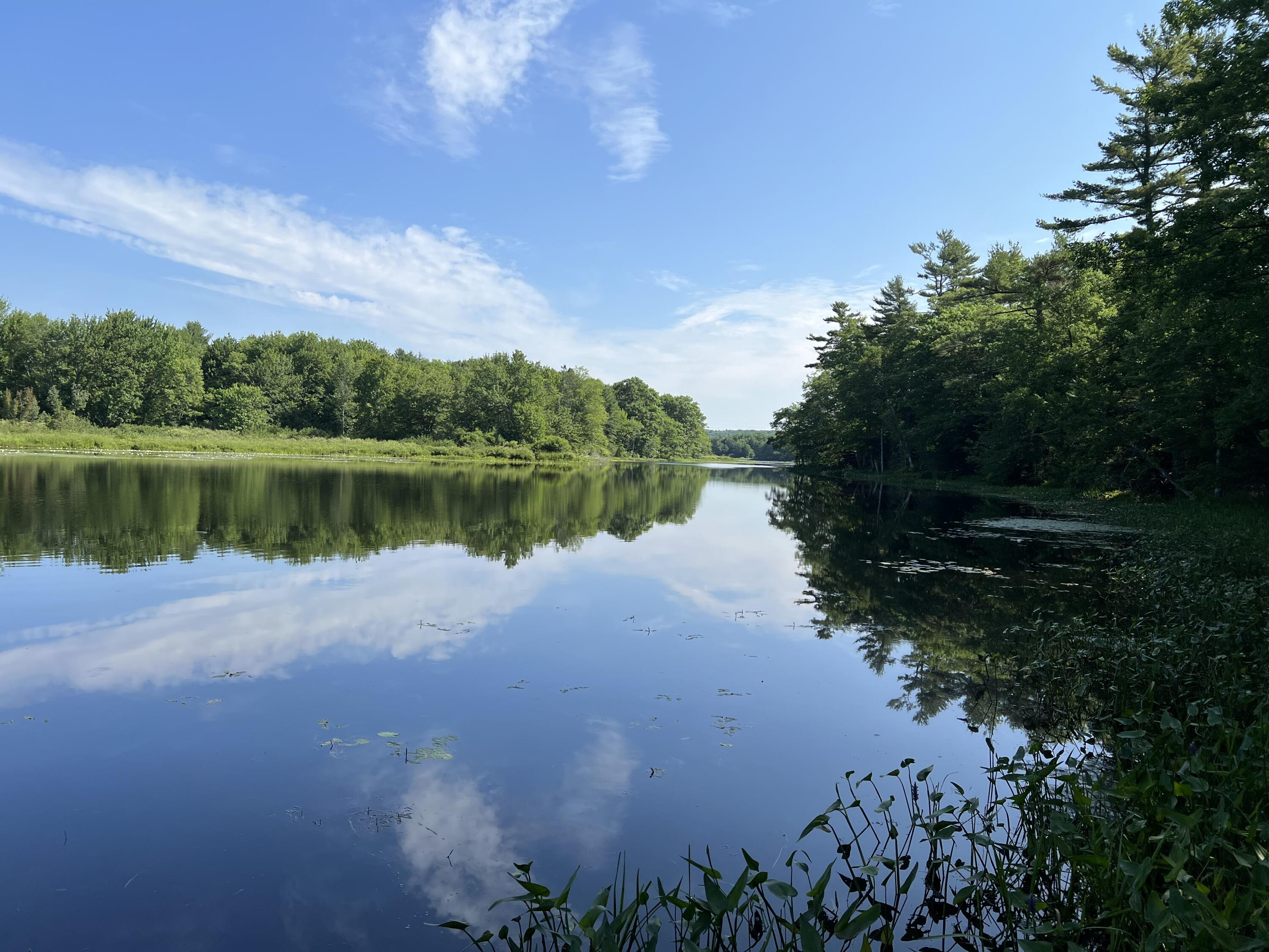 -lowerfal Lower Falls Road Orland, ME 04472 - Photo 2 of 11 IMG_8678 1