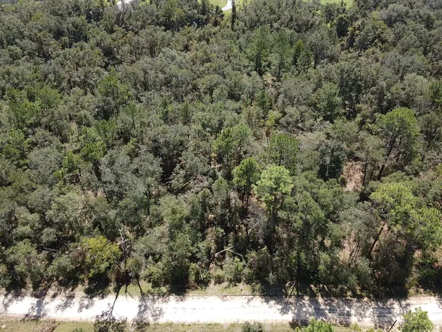 $19,800 | Vacant Northeast Blue Springs Church Road, Lee, FL 32059