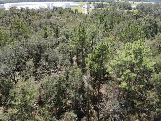 $19,800 | Vacant Northeast Blue Springs Church Road, Lee, FL 32059