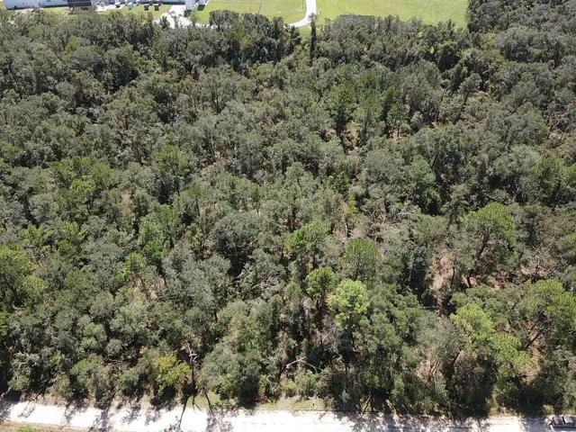 $19,800 | Vacant Northeast Blue Springs Church Road, Lee, FL 32059