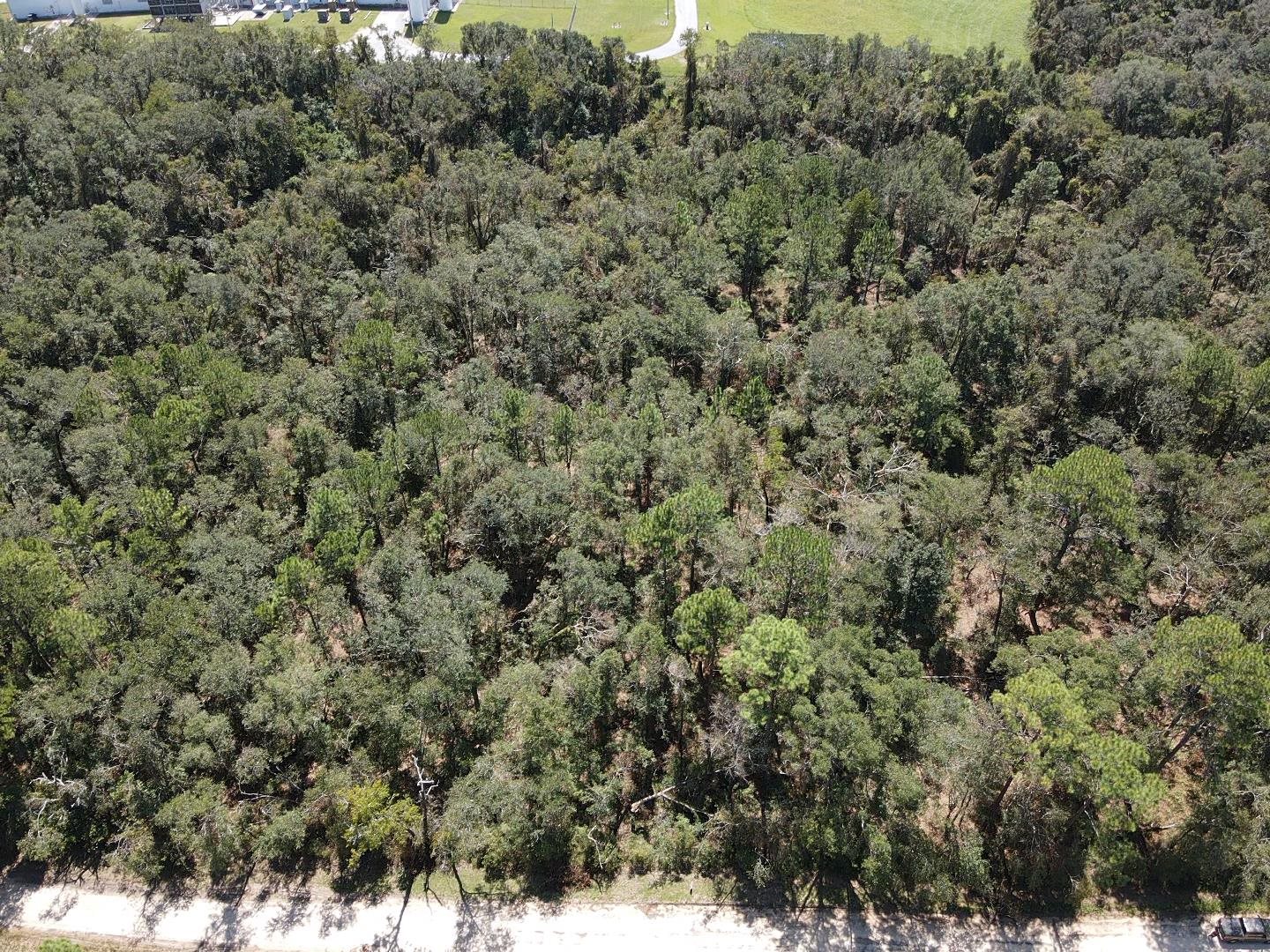 Vacant Northeast Blue Springs Church Road Lee, FL 32059 - Photo 15 of 25