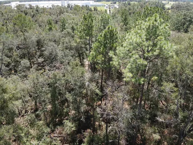 $19,800 | Vacant Northeast Blue Springs Church Road, Lee, FL 32059