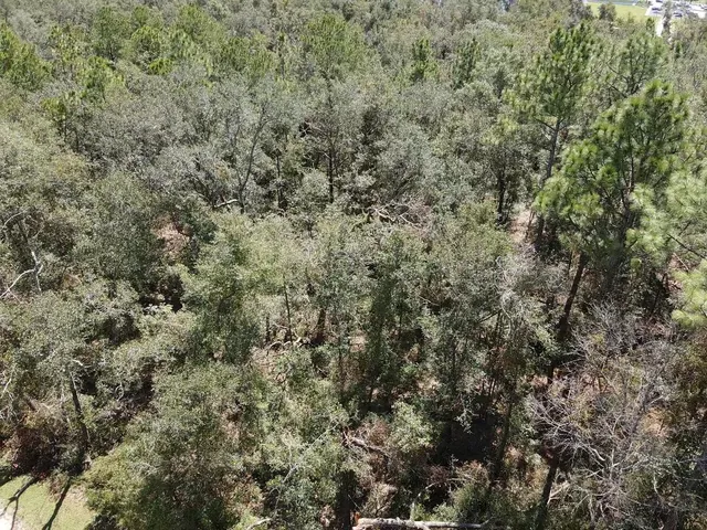 $19,800 | Vacant Northeast Blue Springs Church Road, Lee, FL 32059