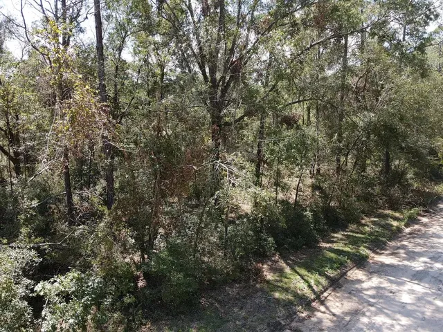 $19,800 | Vacant Northeast Blue Springs Church Road, Lee, FL 32059