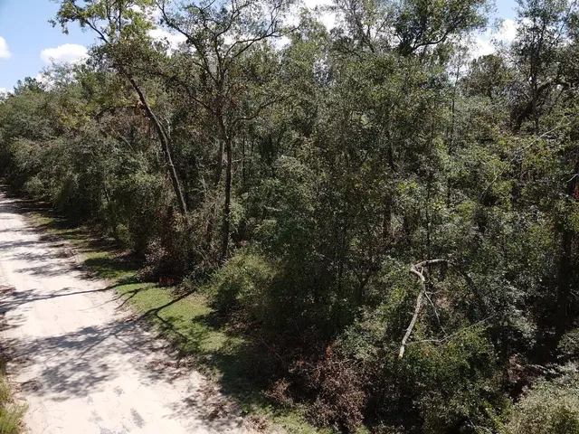 $19,800 | Vacant Northeast Blue Springs Church Road, Lee, FL 32059