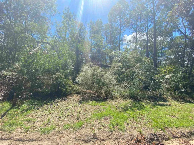 $19,800 | Vacant Northeast Blue Springs Church Road, Lee, FL 32059