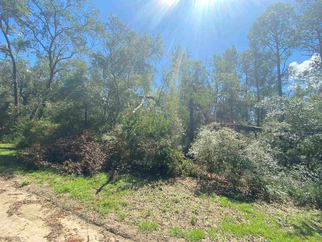 $19,800 | Vacant Northeast Blue Springs Church Road, Lee, FL 32059