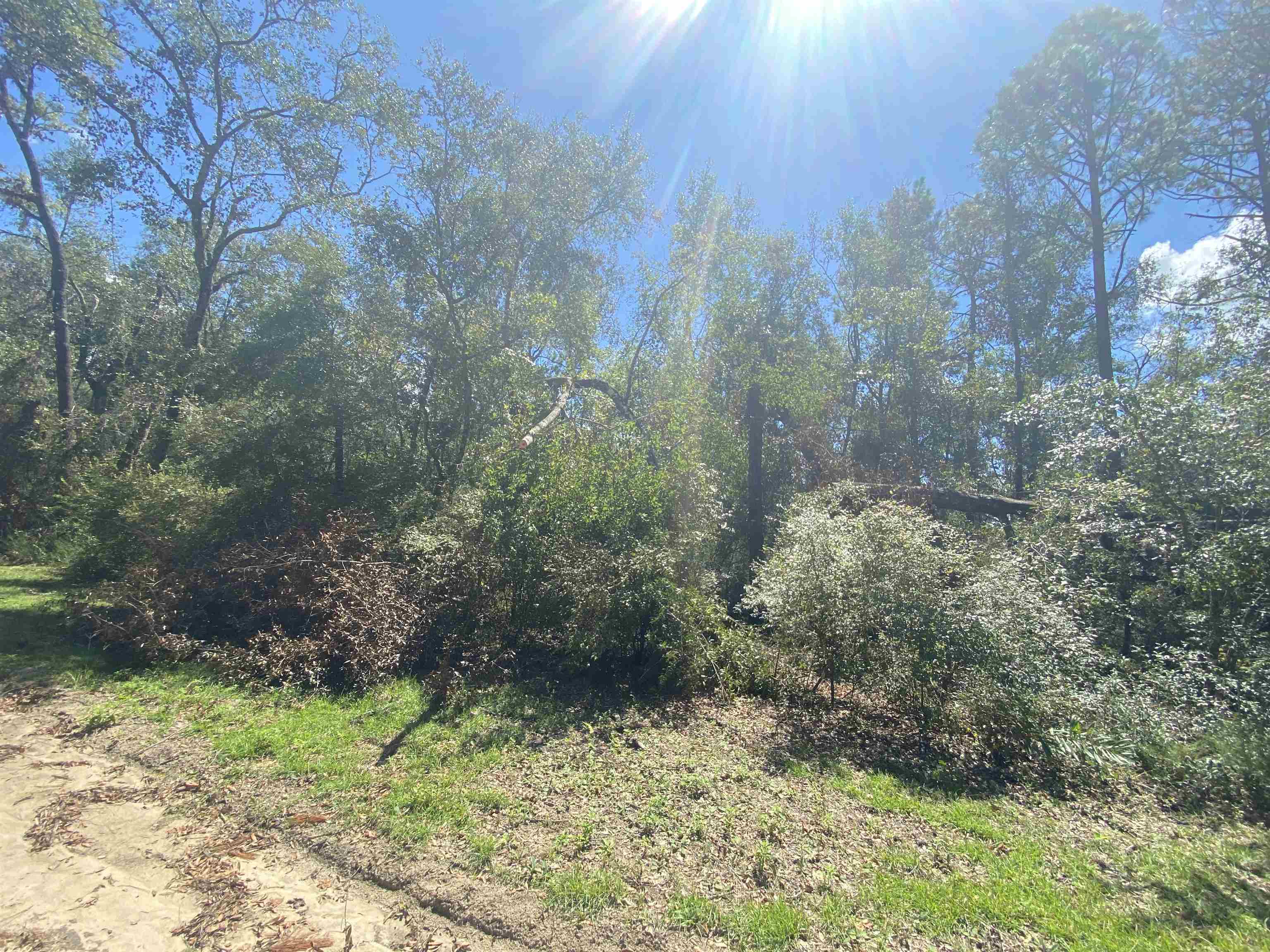 Vacant Northeast Blue Springs Church Road Lee, FL 32059 - Photo 4 of 25