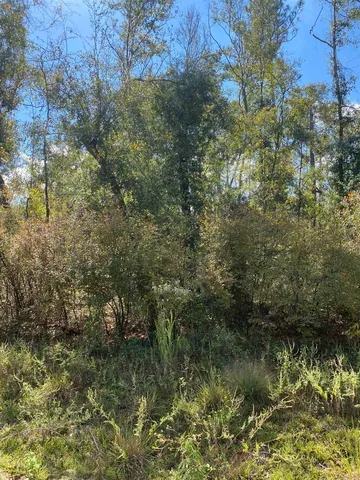 $19,800 | Vacant Northeast Blue Springs Church Road, Lee, FL 32059