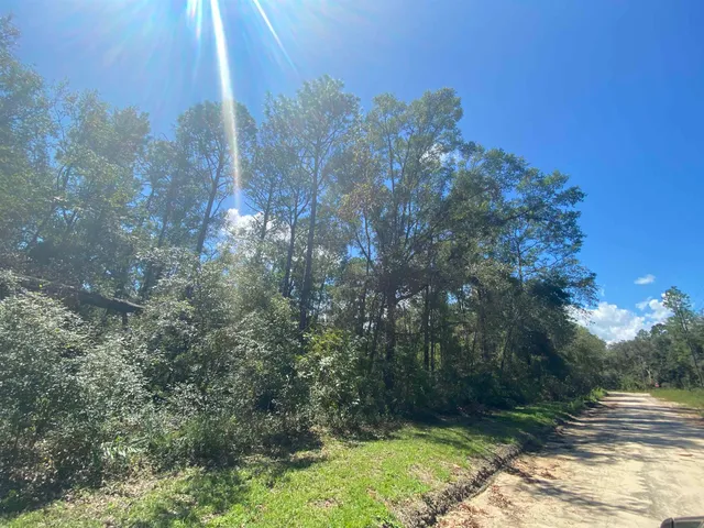 $19,800 | Vacant Northeast Blue Springs Church Road, Lee, FL 32059