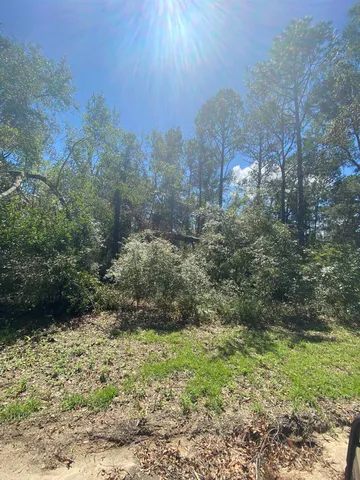 $19,800 | Vacant Northeast Blue Springs Church Road, Lee, FL 32059