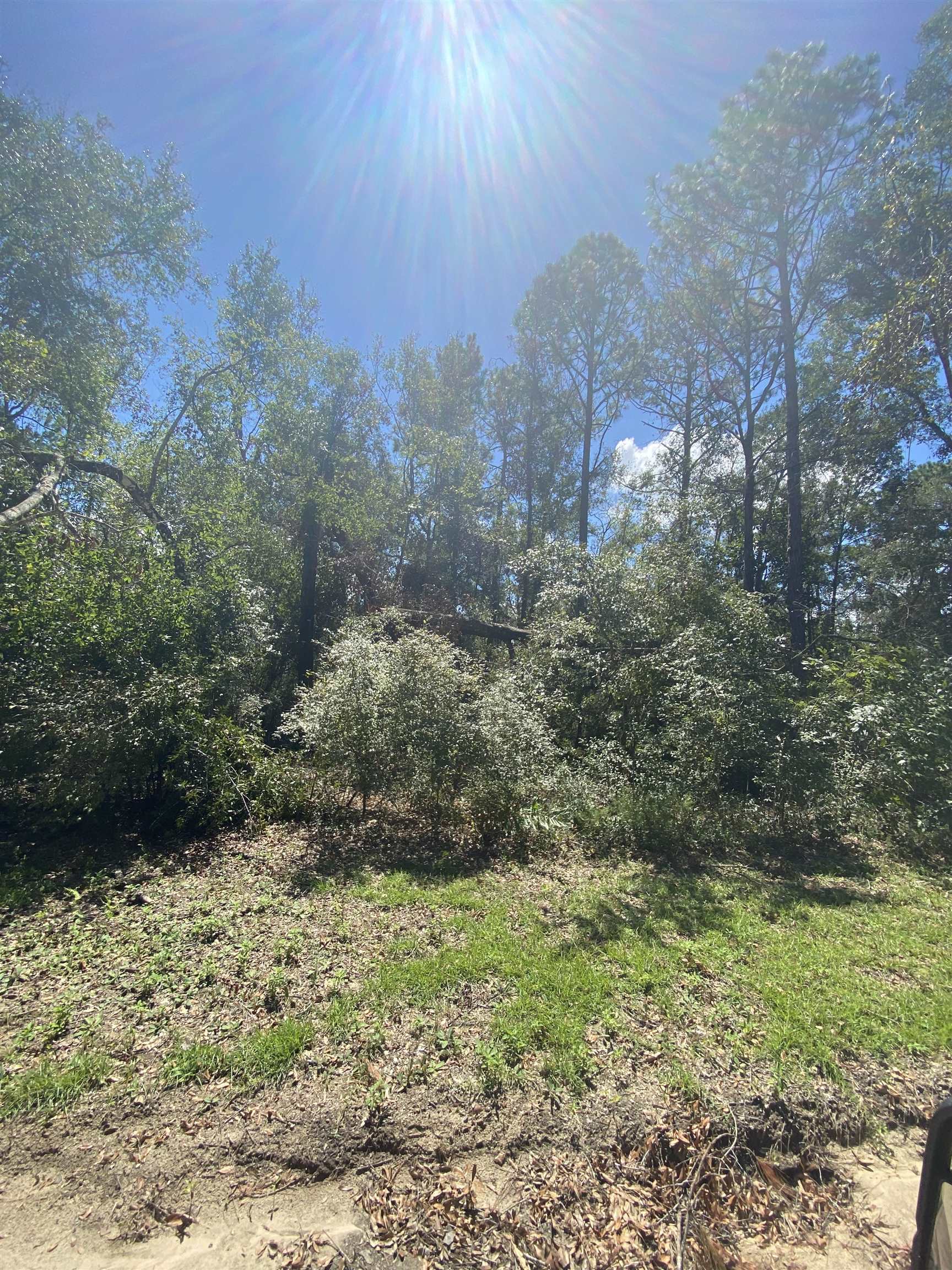 Vacant Northeast Blue Springs Church Road Lee, FL 32059 - Photo 7 of 25