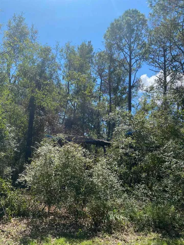 $19,800 | Vacant Northeast Blue Springs Church Road, Lee, FL 32059