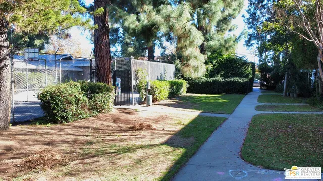 a view of a yard with plants