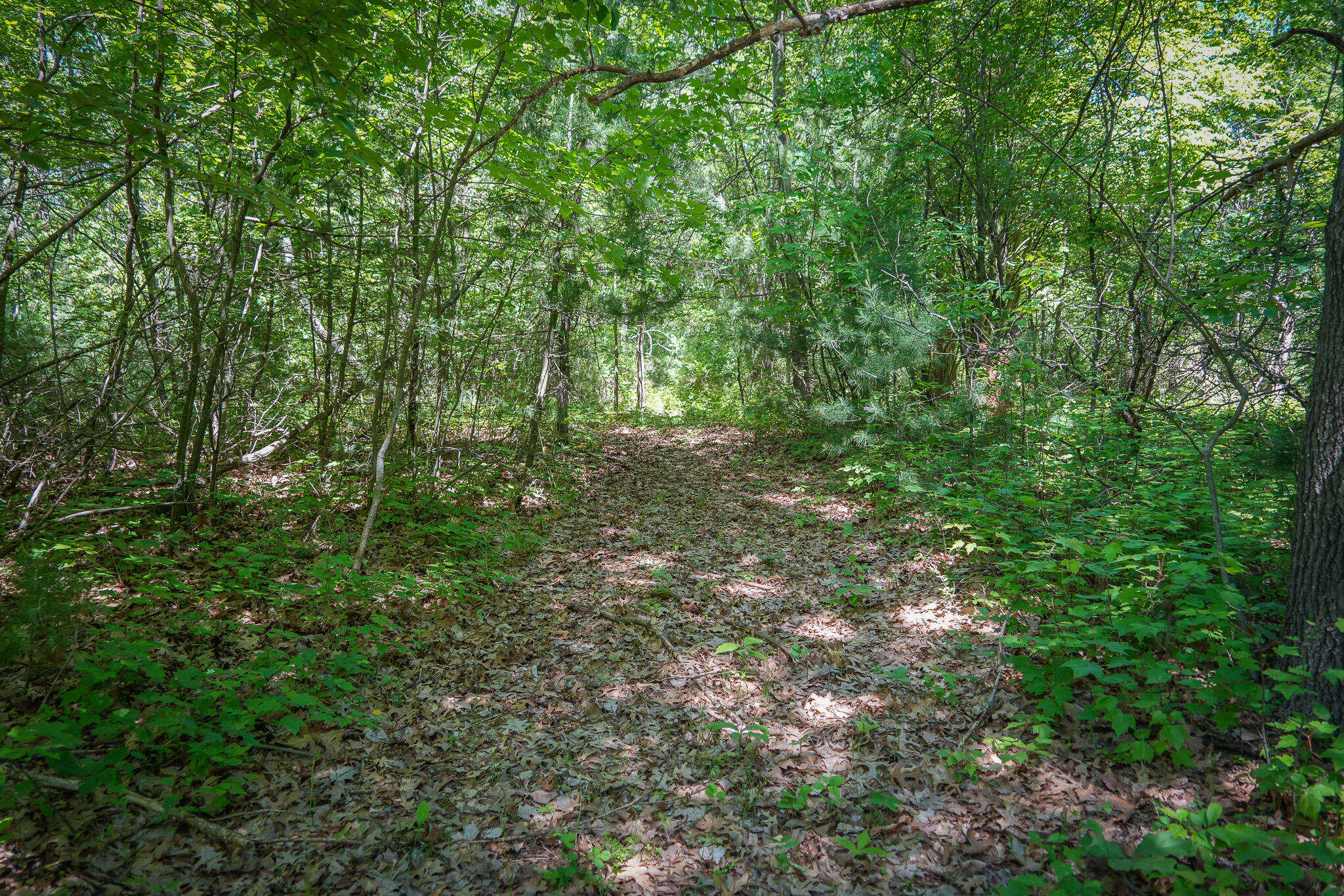 14308 Church Road Howard City, MI 49329 - Photo 21 of 52 DSC00189
