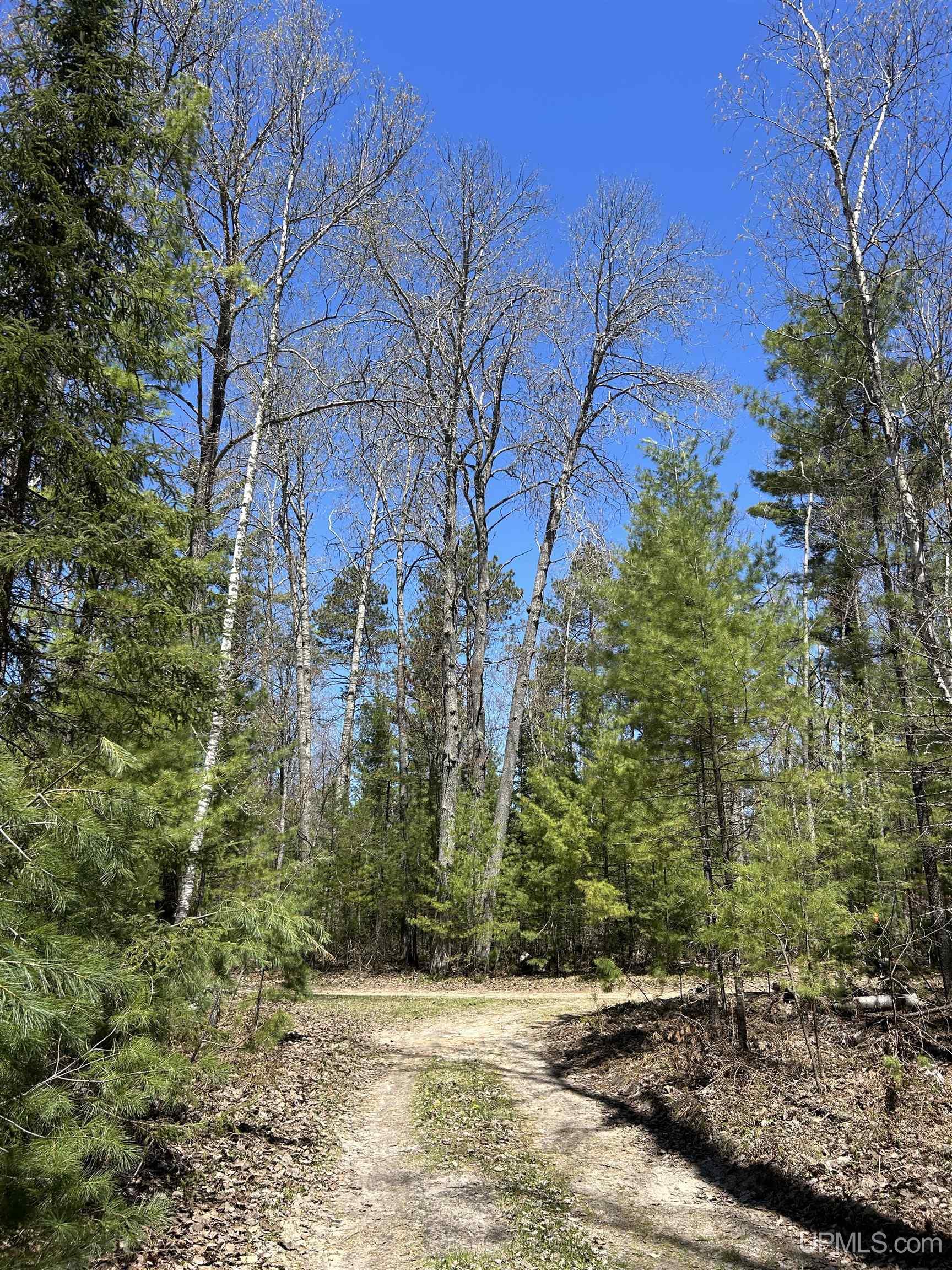 14988 33 Road Wetmore, MI 49895 - Photo 48 of 56