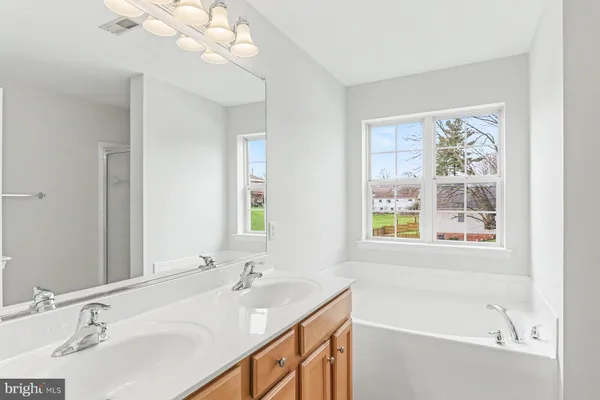 a bathroom with a sink a large mirror and a bathtub