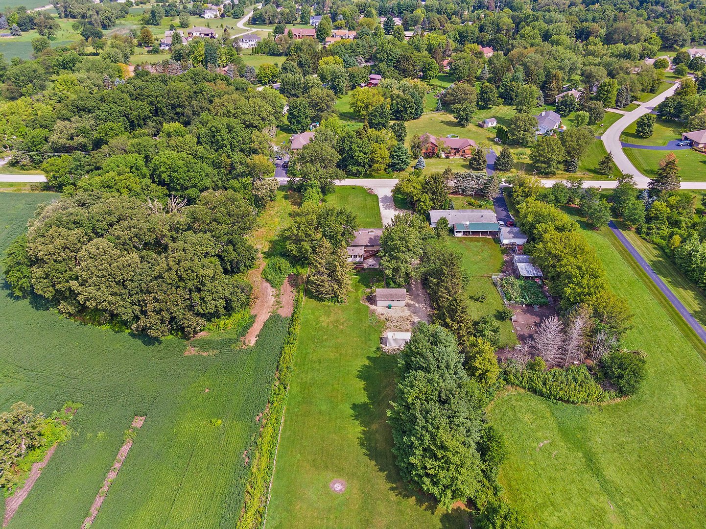 41W723 Lenz Road Elgin, IL 60124 - Photo 41 of 41 an aerial view of residential houses with outdoor space and trees
