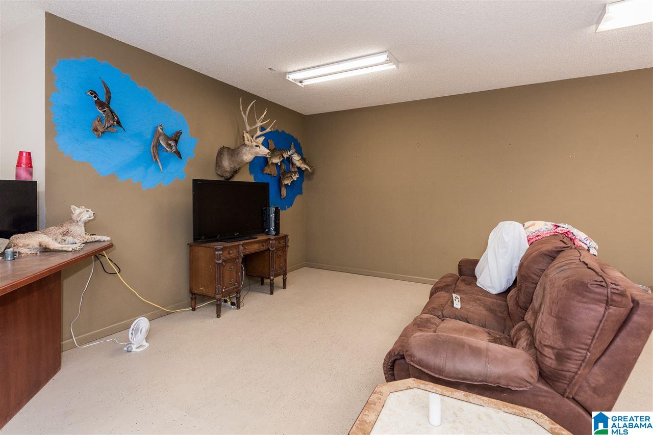 1430 Tidwell Road Altoona, AL 35952 - Photo 32 of 47
