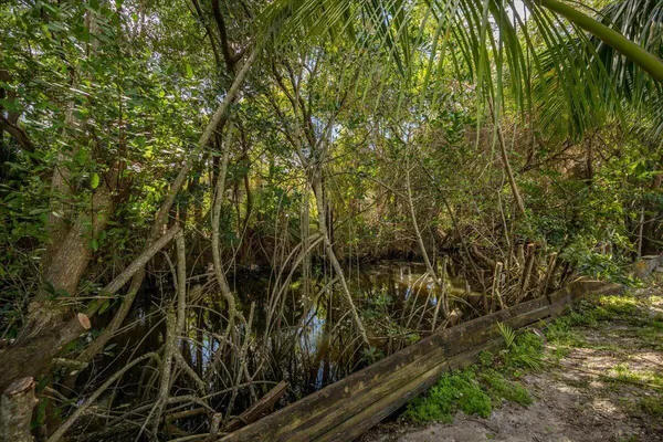 $3,750 | 1012 Mohican Boulevard, Jupiter, FL 33458