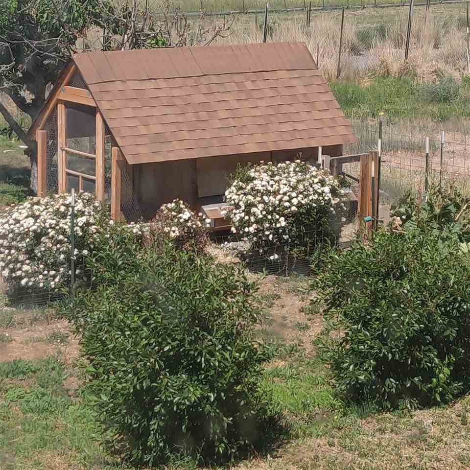 178 32 Road Grand Junction, CO 81503 - Photo 40 of 40 Gallery Image 40
