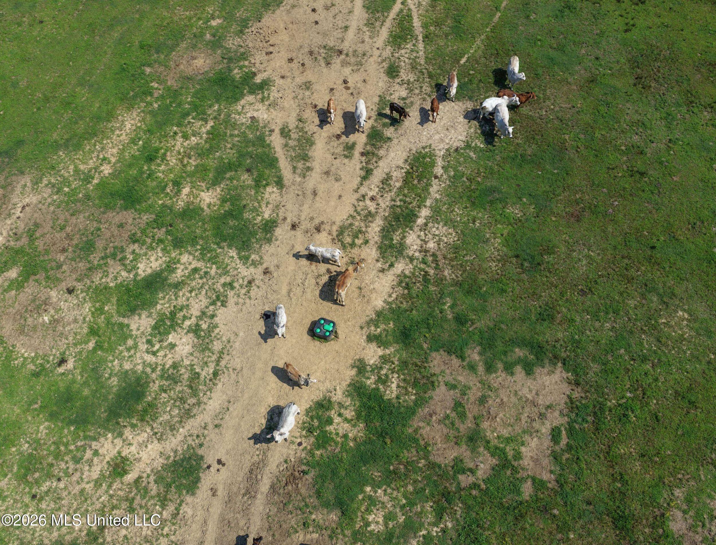 2169 Slocum Road Hernando, MS 38632 - Photo 43 of 94 5slcm35