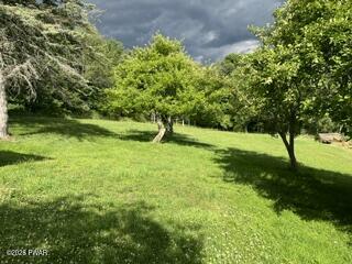 85 Bauernfeind Road Callicoon, NY 12723 - Photo 6 of 19