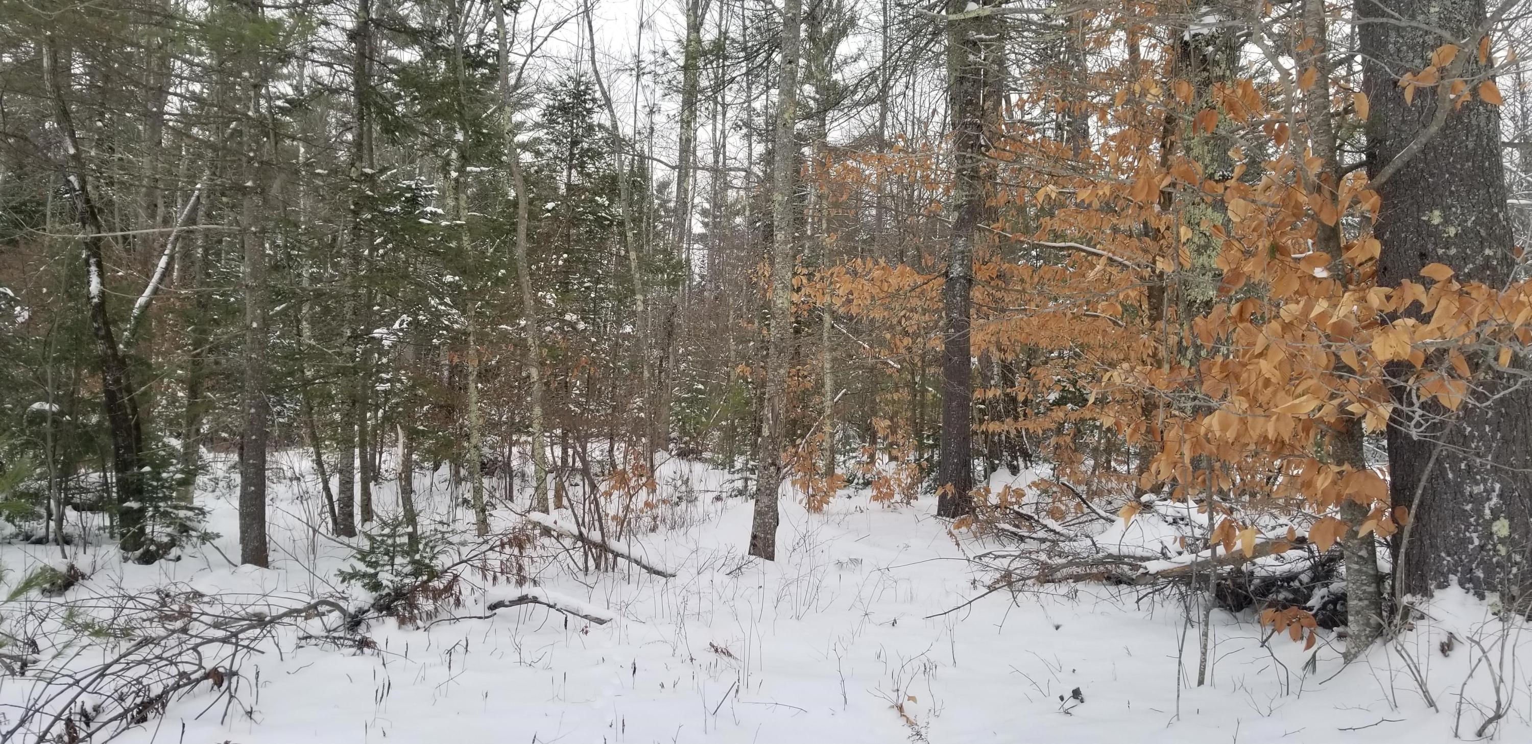 M 101-l14 M 101-l14 Chimney Road Readfield, ME 04355 - Photo 6 of 7 5