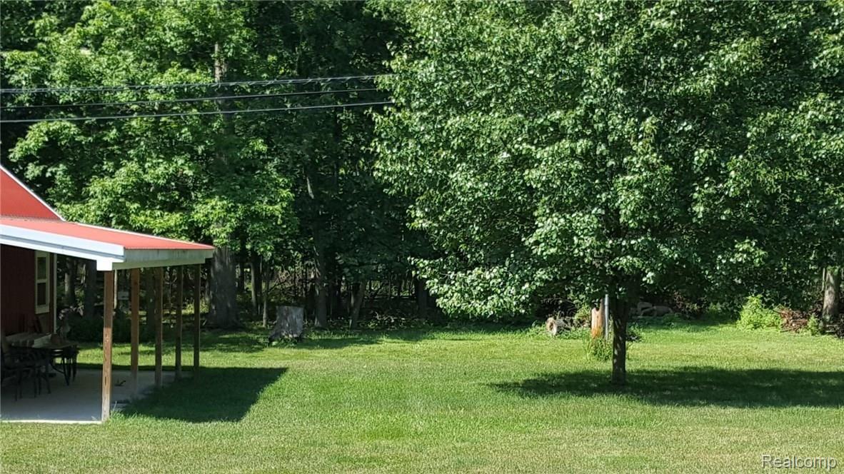 8992 Rucker Road Grosse Ile, MI 48138 - Photo 8 of 40 Wooded open space behind backyard