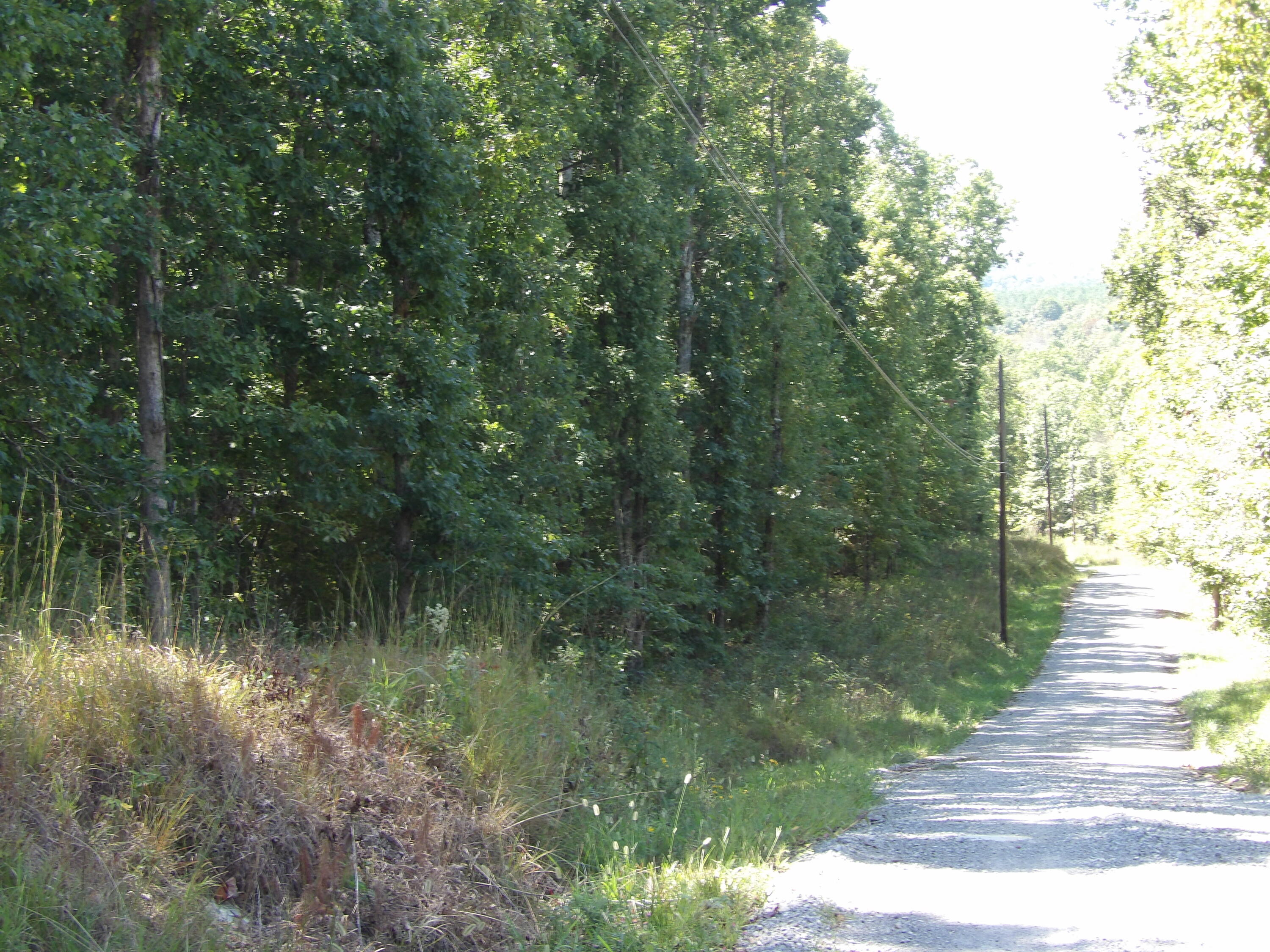 100 Summer City Road Evensville, TN 37332 - Photo 20 of 33 100_1946